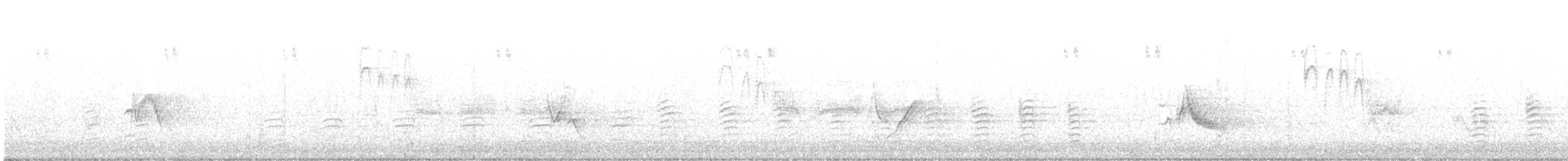 Cassin's Vireo - ML526063741