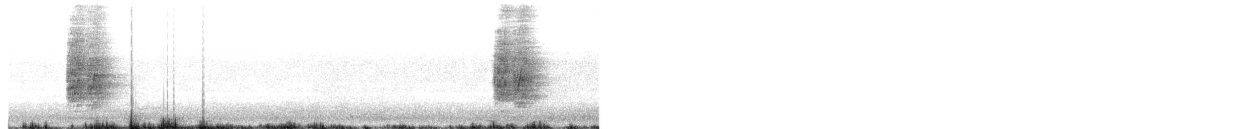 Dumanlı Kurravong (versicolor/plumbea) - ML526070061