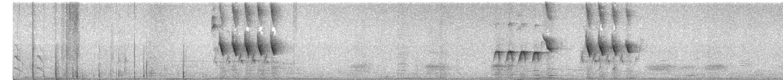 Kara Karınlı Sığırcık - ML526072691