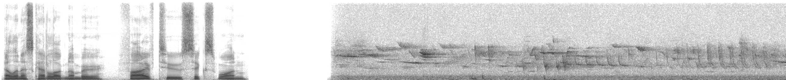 Picchion cramoisi - ML5261