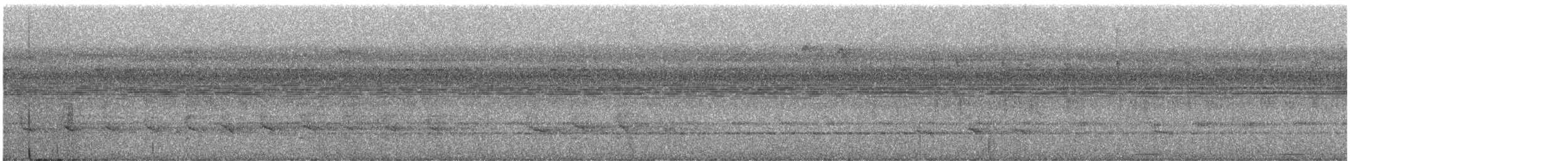 Синегорлый широкорот - ML526108501