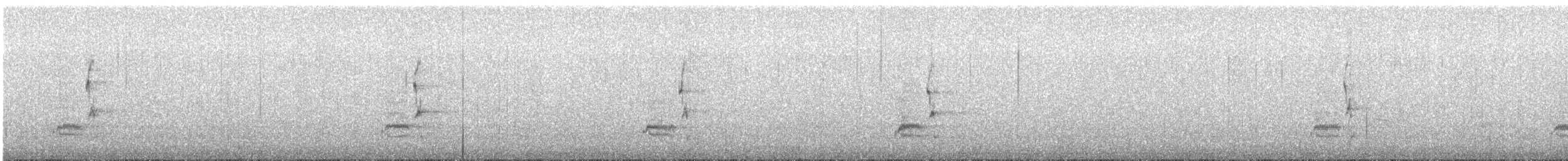 חנקן ספרדי - ML526111521