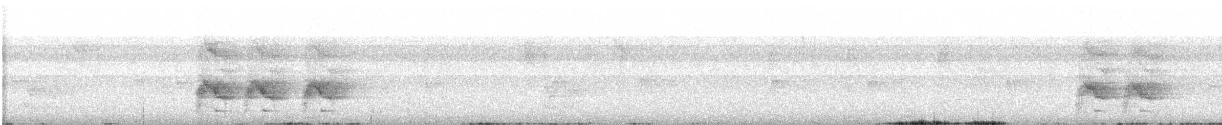 Pione à couronne blanche - ML526121211