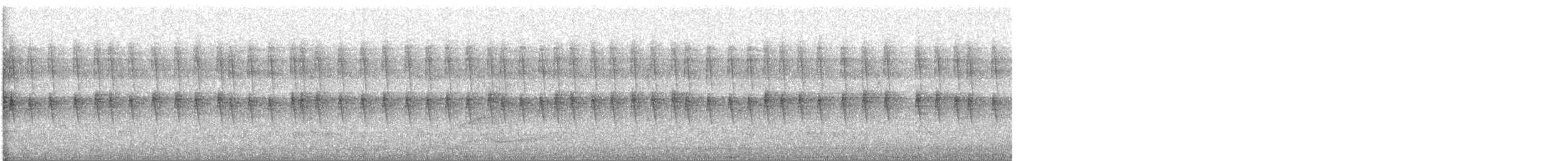 Колібрі-шаблекрил юкатанський (підвид curvipennis) - ML526144991
