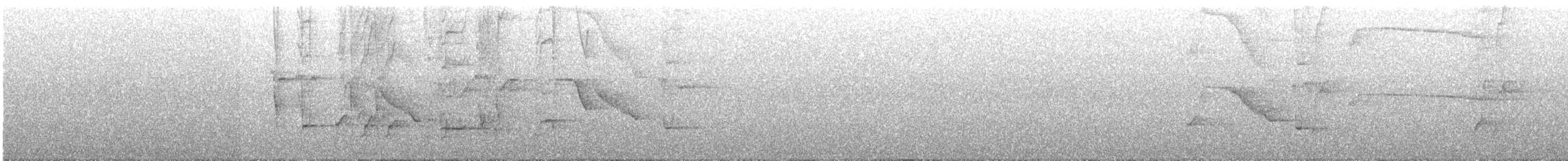 Краснобрюхий гракл - ML526158561