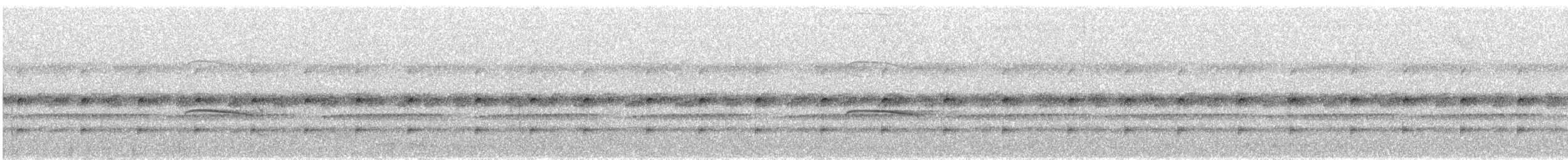 Лінивка-строкатка маскова - ML526158821