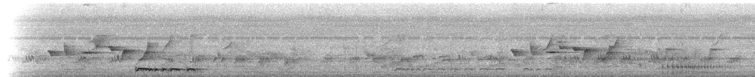 holoubek vlnkovaný - ML526182711