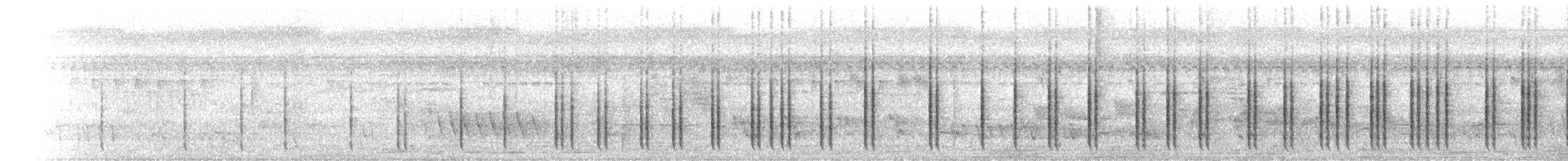 Streifenschwirl - ML526183021