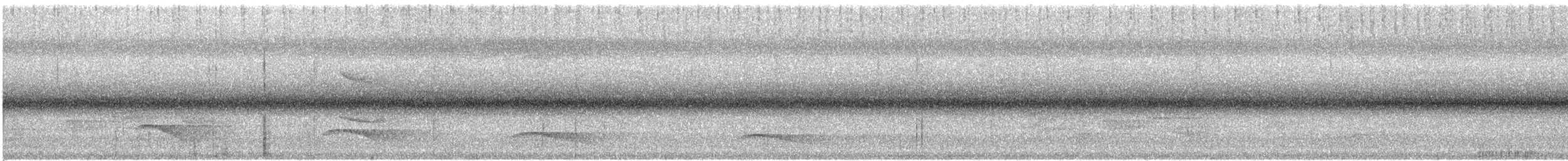flekktreløper - ML526193561