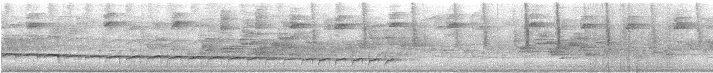 Starkschnabel-Baumsteiger - ML526195531