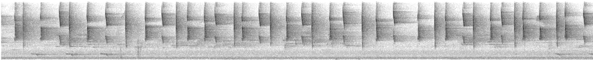 Синегрудый фиалкоух - ML526196281