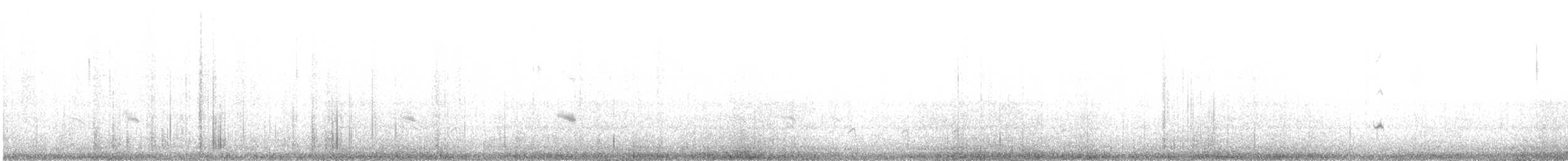 Ammomane élégante - ML526227561