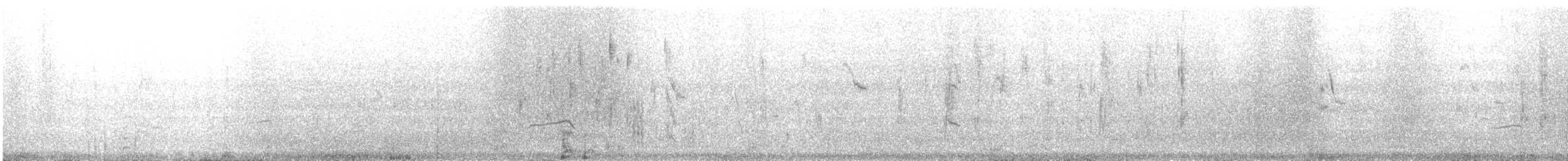 Black-winged Kite (Asian) - ML526231691