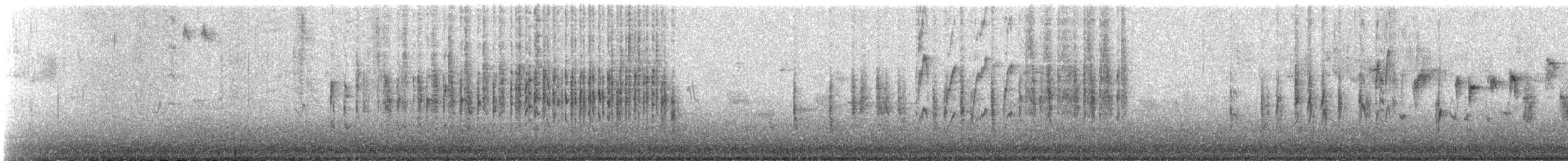 Bataklık Çıtkuşu [plesius grubu] - ML526240181