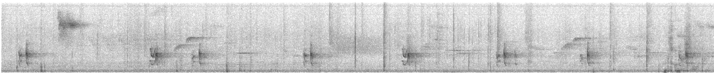 Ptilogon cendré - ML526249741