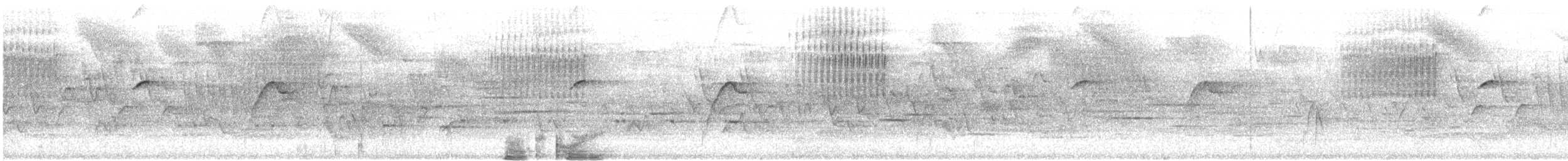 Moucherolle obscur (occidentalis/hellmayri) - ML526258221