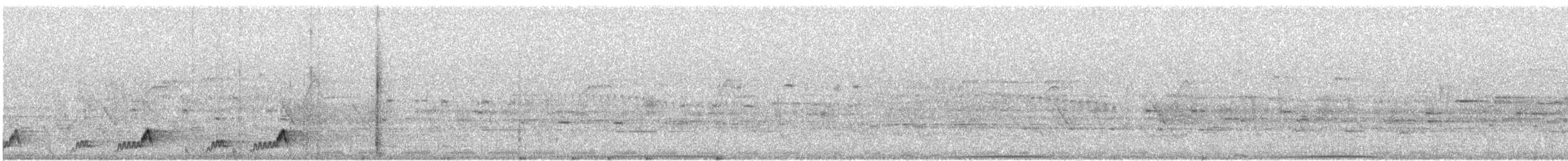 Mexikonachtschwalbe - ML526261851