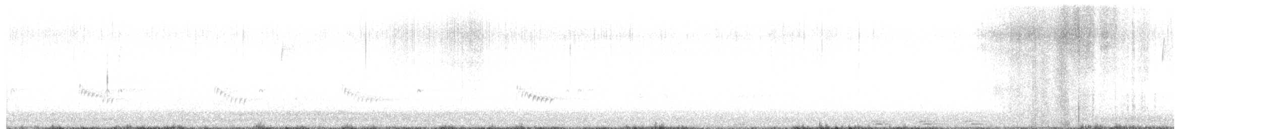 Поплітник каролінський - ML526307891