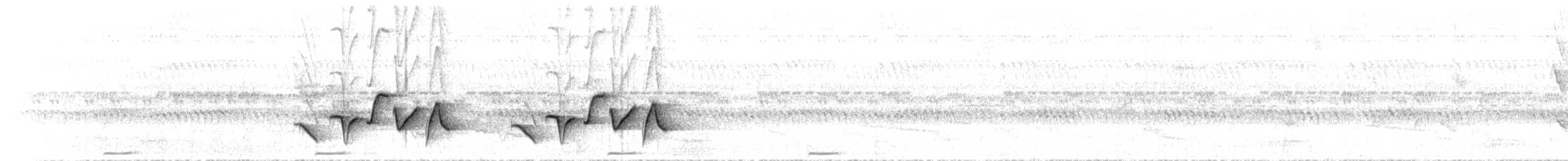 Speckle-breasted Wren (Marañon) - ML52631691