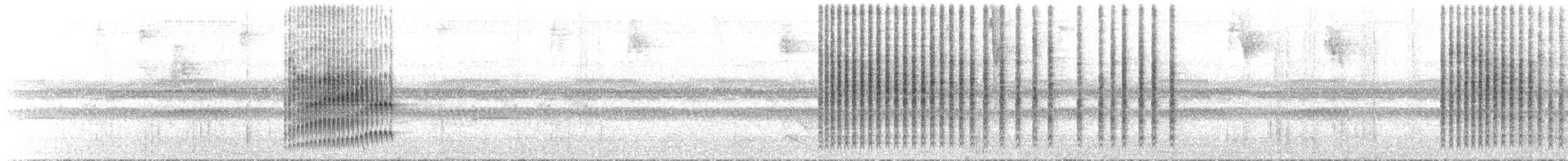 Поплітник плямистоволий (підвид sclateri) - ML52631701