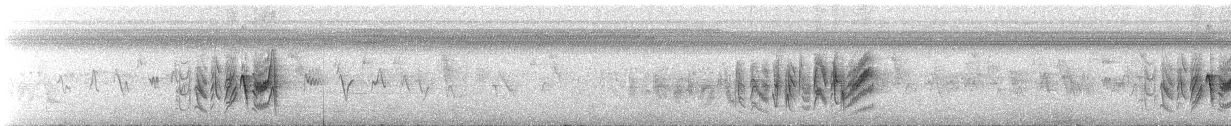 Vireo de Bell (arizonae) - ML526385251