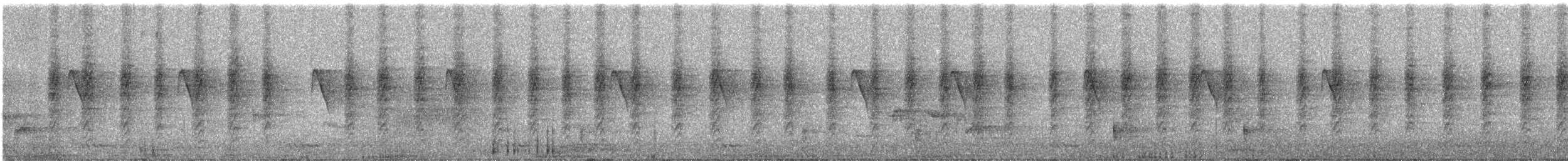 Little Spiderhunter - ML526402281