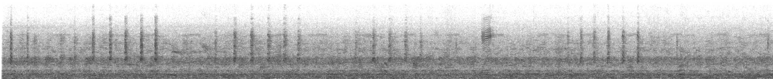 Silberklaffschnabel - ML526418211