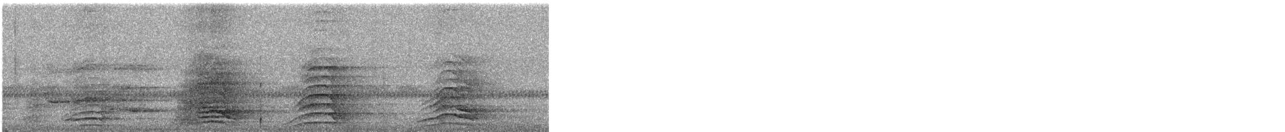 Malabar Pied-Hornbill - ML526433921