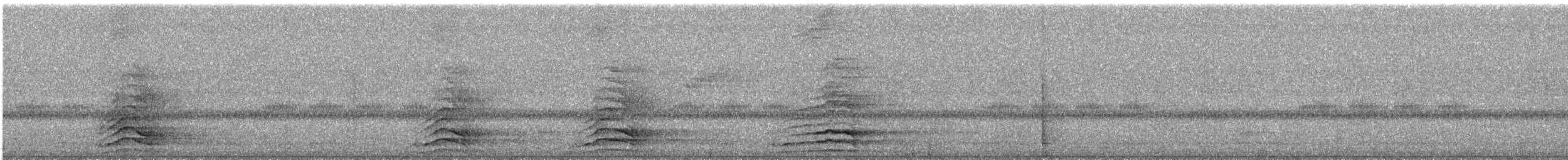 Malabar Pied-Hornbill - ML526433931