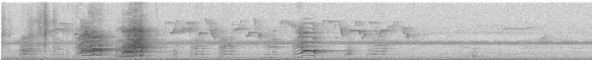 Malabar Pied-Hornbill - ML526433941