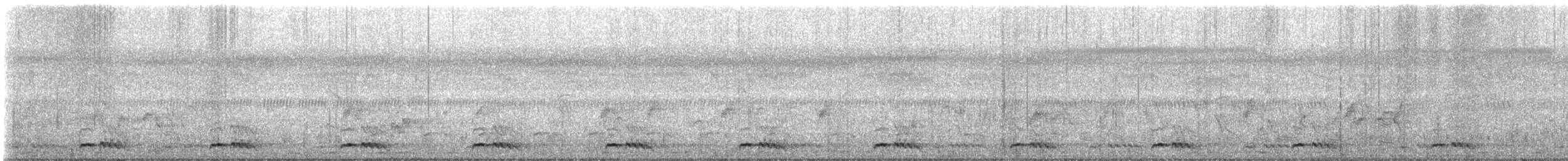 barbet bělolící - ML526473171