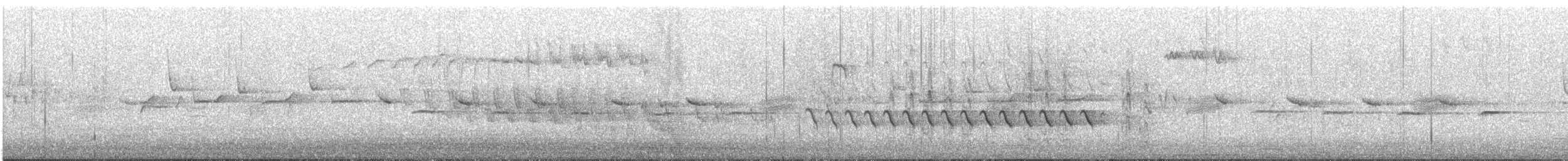 Corsican Nuthatch - ML526481841