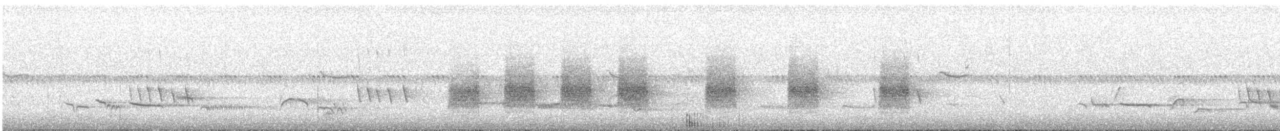 Corsican Nuthatch - ML526484681