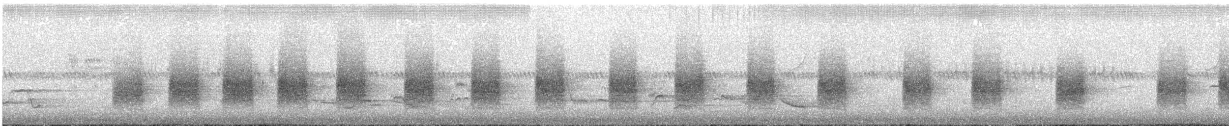 Corsican Nuthatch - ML526486201