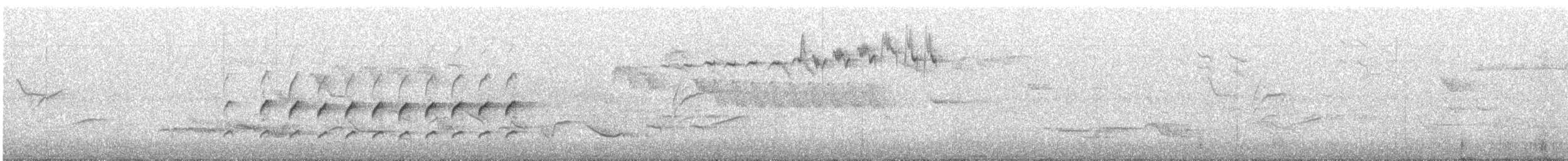 Corsican Nuthatch - ML526489471