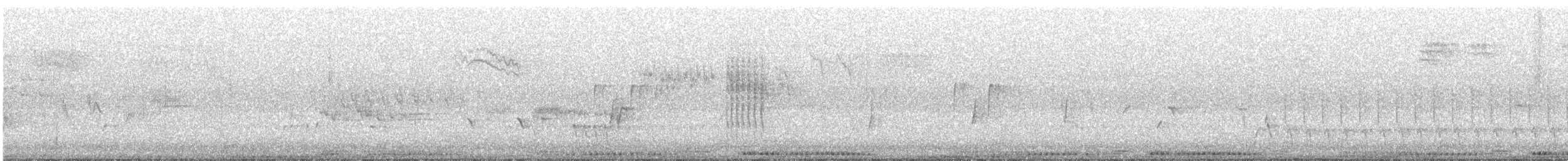 Tortora selvatica - ML526493341