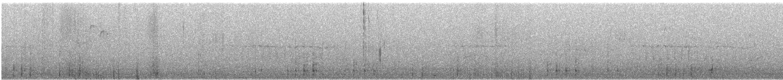 strakapoud osikový - ML526502681