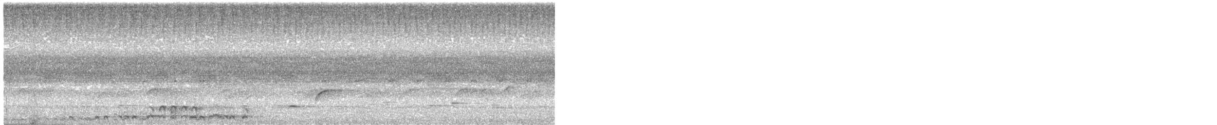 Puerto Rican Owl - ML526520881