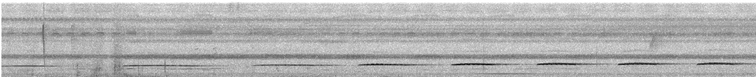 Little Tinamou - ML526546071