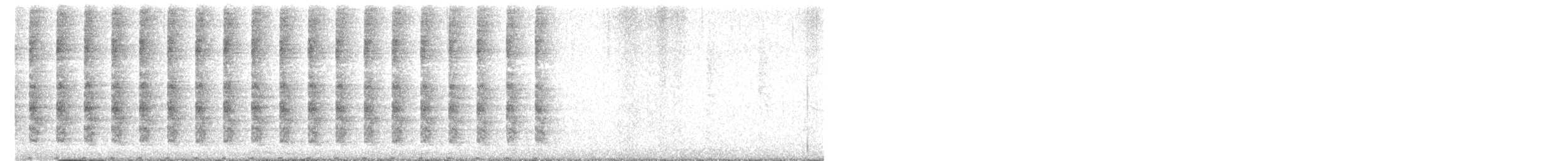 chřástal aztécký - ML526560021