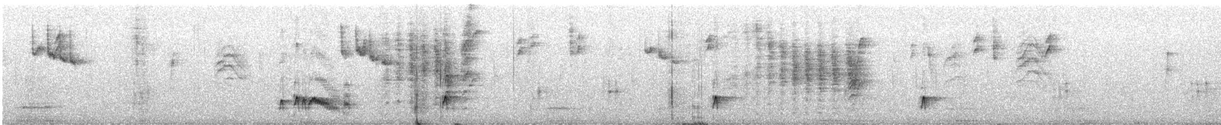 Vireo de Cassin (San Lucas) - ML526589661