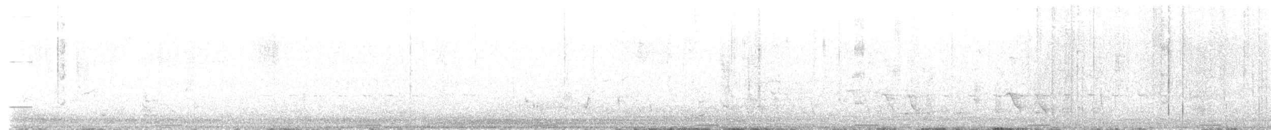 holub pestrokřídlý - ML526646161