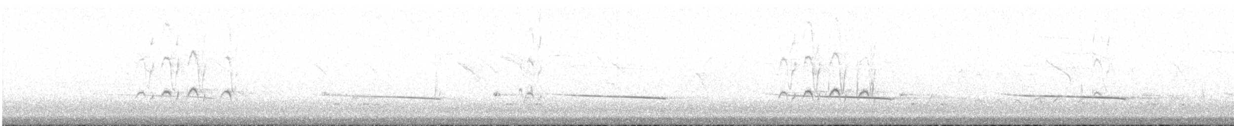 Black-eared Cuckoo - ML526719331
