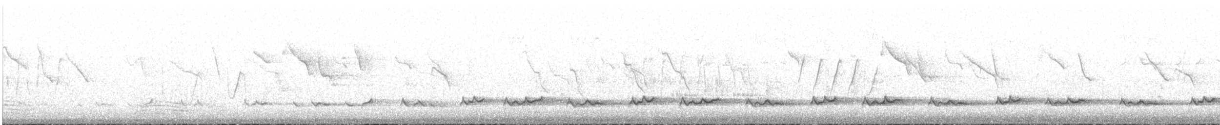 Méliphage lancéolé - ML526752891