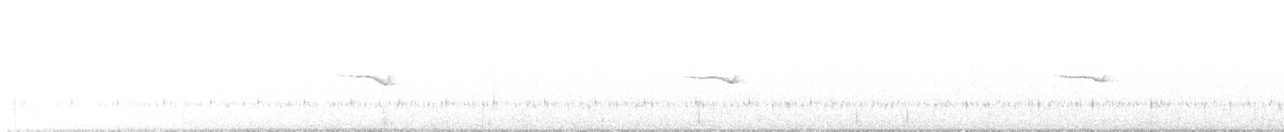 Band-winged Nightjar - ML526809161