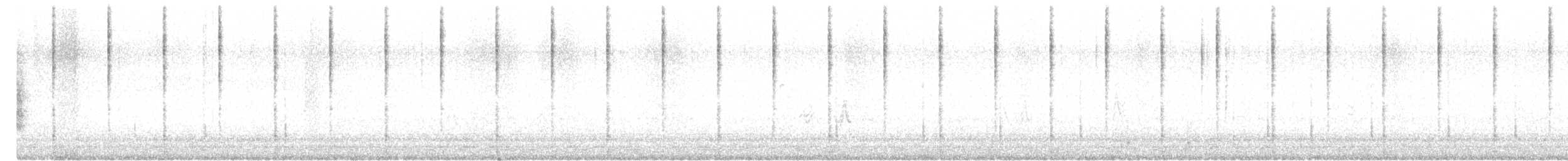 halsbåndfrankolin (henrici gr.) - ML526811251