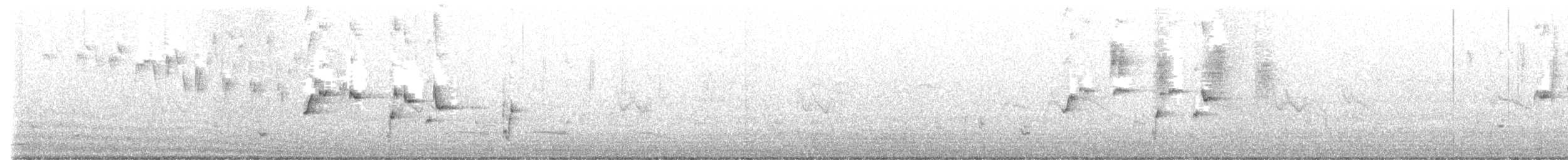 Willie-wagtail - ML526815791