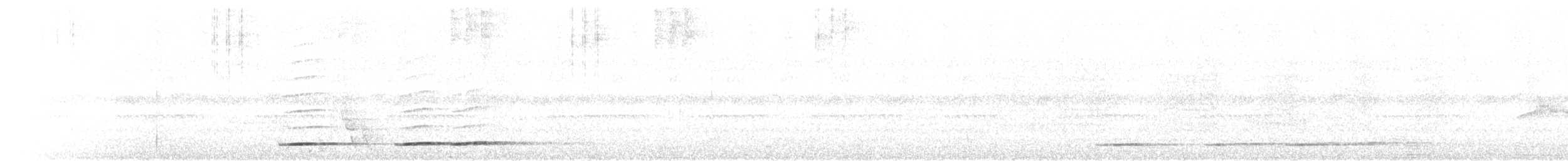 Tinamou vermiculé - ML526984591