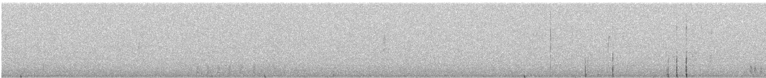 trogon krásný - ML526993881