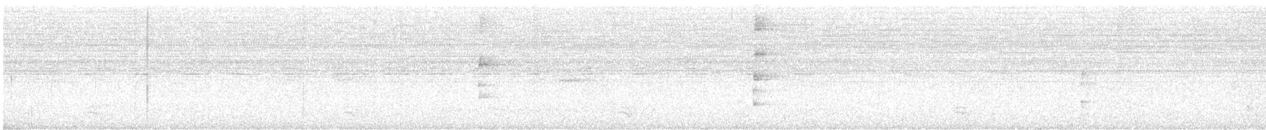 Ak Karınlı Todi Tiranı - ML527001491